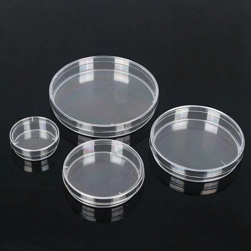 small-glass-petri-dish6c365 small-glass-petri-dish6c365